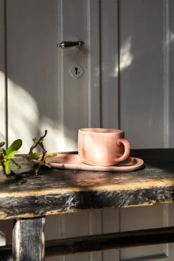 Heirol Tasse Svelte Rose -Alderaine Geschaft heirol nosse tea cup 4 dl swelte rose 1