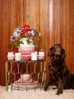 Mateus Schale Basic Oyster Mini Ø 13 Cm, Rosa -Alderaine Geschaft mateus schale basic oyster mini 13 cm wei 39