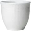 Rörstrand Swedish Grace Eierbecher 4cl, Schnee -Alderaine Geschaft rorstrand swedish grace eierbecher 4 cl 20