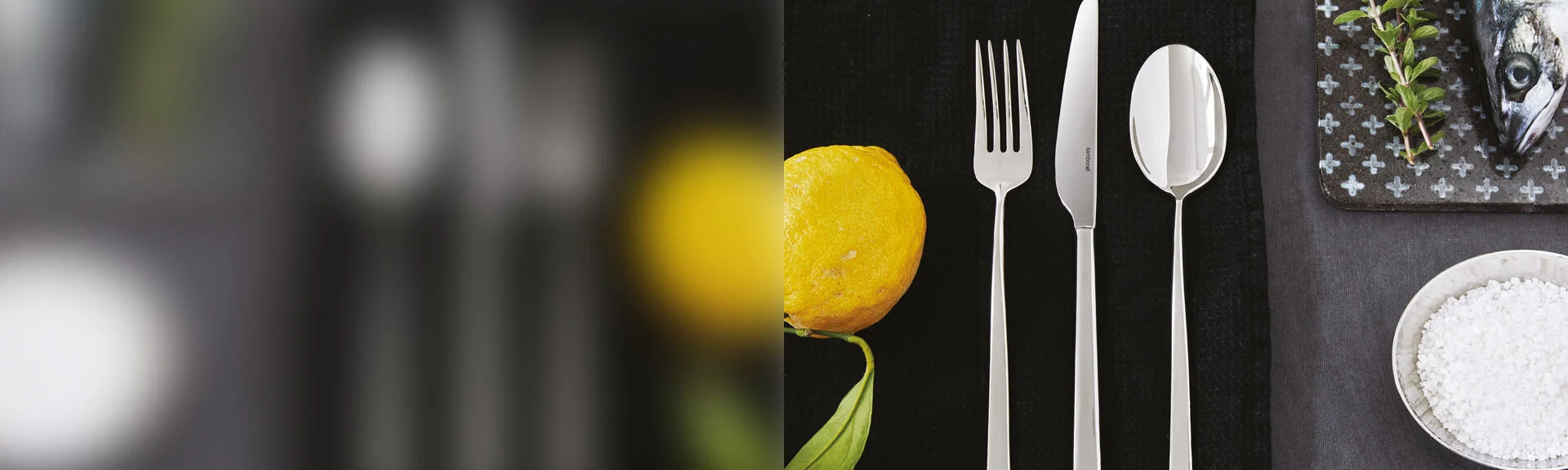 Alderaine Geschaft -Alderaine Geschaft SBT Banner Collezioni 1920x720 Posate LineaQ